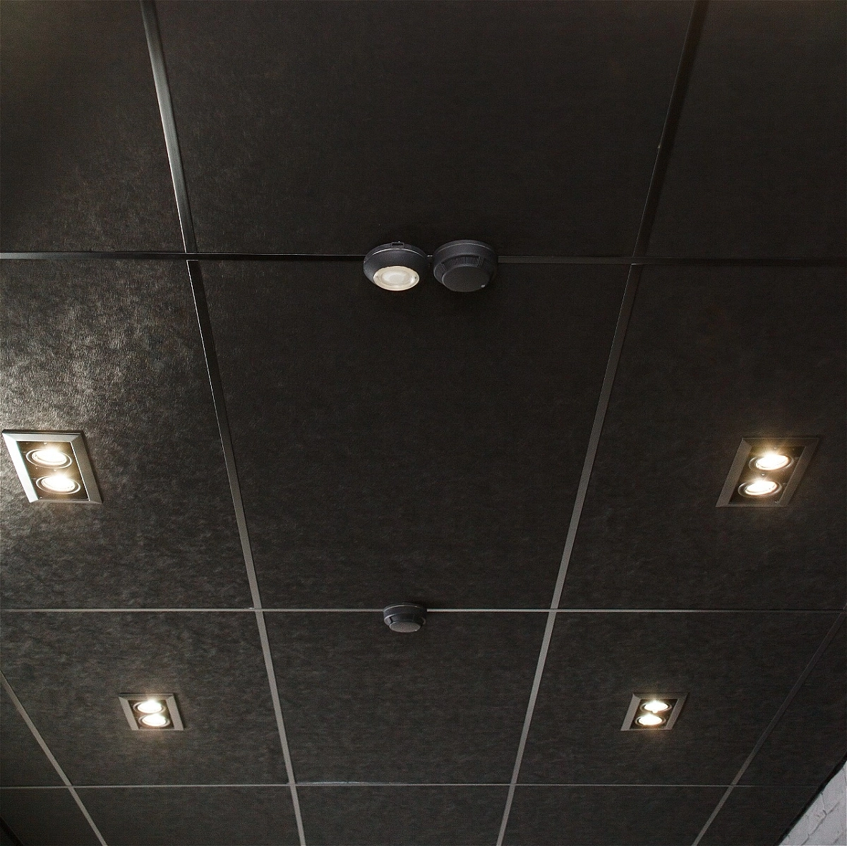 фото: Отделка потолка панелями Акустилайн Ампир
