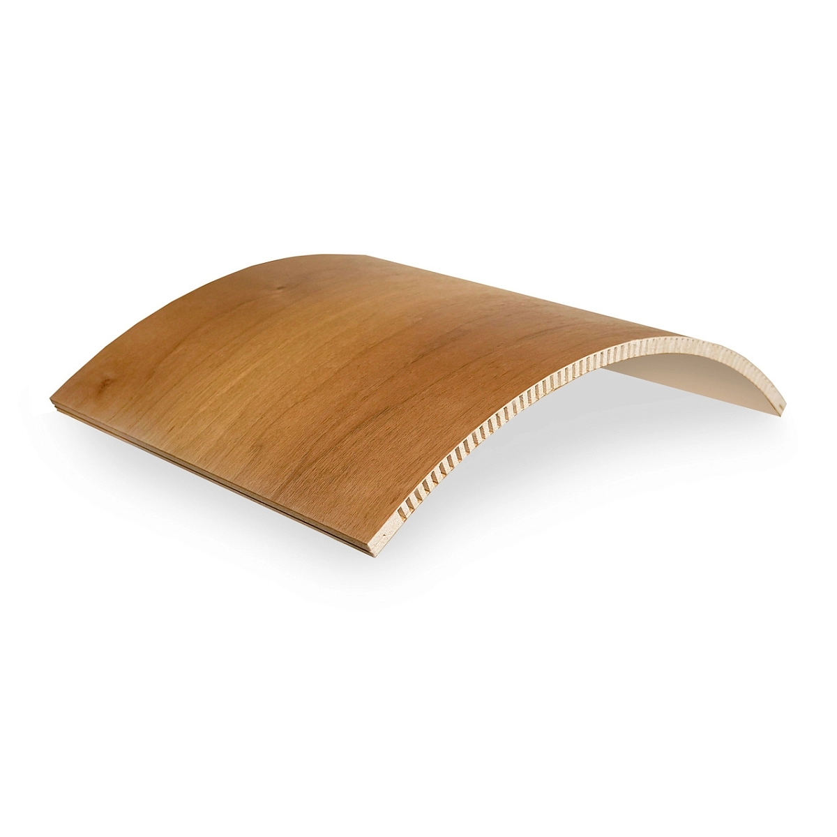 фото: Belner Радиал